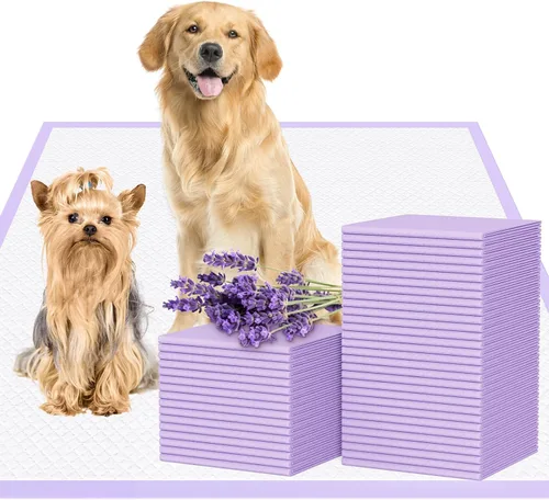 JollyMate Almohadillas extra grandes para orina de perro de 36 x 36 pulgadas, 30 unidades a prueba de fugas, resistentes y absorbentes, almohadillas