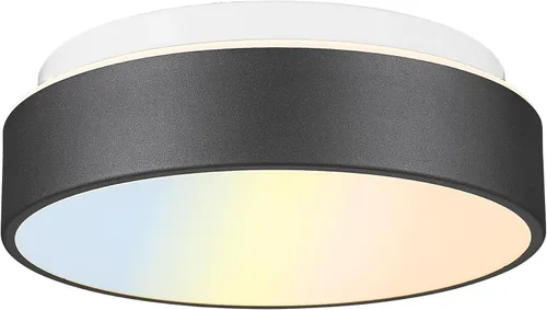 Miniatura 13 de AUTELO Lámpara de techo de montaje empotrado de 12 pulgadas, pantalla de vidrio esmerilado, lámpara de techo de 2 luces cerca del techo en acabado