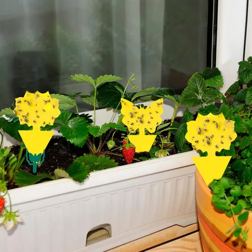 Miniatura 5 de Pack de 120 trampas adhesivas para moscas de la fruta, trampas pegajosas para interiores para matar mosquitos y mosquitos voladores, trampa