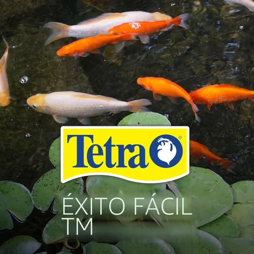 Miniatura 11 de TetraPond Koi Vibrance Palitos Suaves, Alimento Flotante para Peces de Estanque para Peces Koi y Peces Dorados Ornamentales, 2.42 Libras