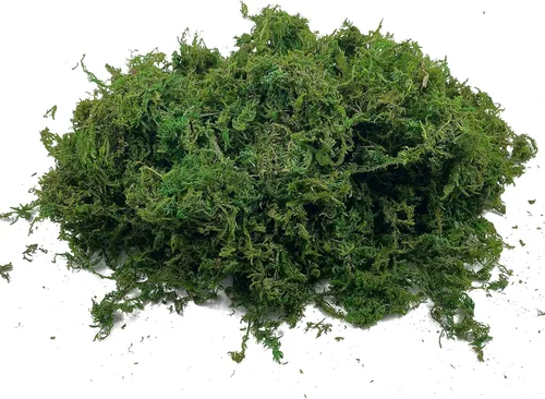 Miniatura 4 de Musgo de bosque seco artificial, musgo verde preservado para plantas en maceta, mezcla de orquídeas, esfagno, turba y musgo, manualidades
