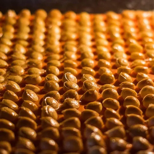 Miniatura 7 de CANDeal 2 moldes redondos de silicona de 936 cavidades, molde de gotas de chocolate, molde para golosinas para perros, moldes de caramelos de gomita