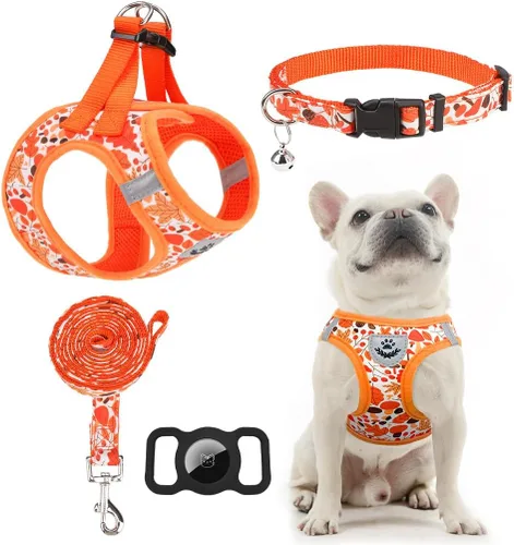 Miniatura 14 de EXPAWLORER Arnés Clásico de Plátanos para Cachorros - Juego de Arnés y Correa para Perros Pequeños - Juego de Collar y Correa para Perros con Azul