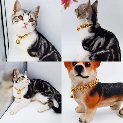 Miniatura 5 de Gargantilla ancha de acero inoxidable para gatos y perros, de oro de 18 quilates, ajustable, a prueba de mordidas, eslabones cubanos de 1/2 pulgada