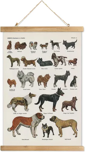 Miniatura 39 de XIAOAIKA Póster Educativo de Vida Silvestre de Seto Británico - Cuadro Ilustrado de la Naturaleza con Marco de Madera - Arte de Pared de Animales