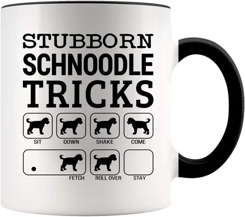 Personaliza las tazas. Regalo divertido para los amantes de los fideos., 11onza
