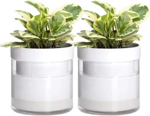 Miniatura 11 de Maceta Phoenix Vine de 6 Pulgadas con Riego Automático, Maceta de Arcilla Terracota con Reservario de Vidrio para Plantas de Interior, Hierbas