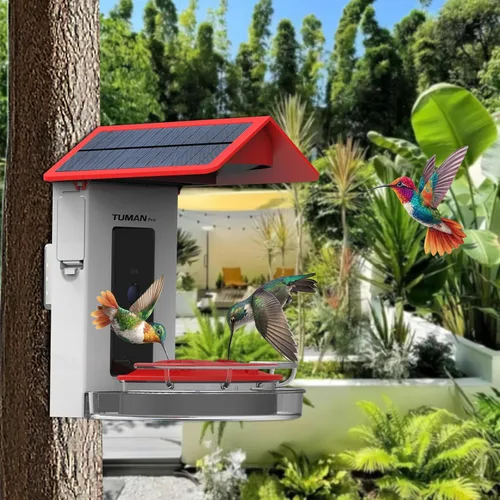 Miniatura 4 de Comedero inteligente para colibríes con cámara de video HD de 1080P, vista de 130°, reconocimiento de IA, control de aplicación, energía solar