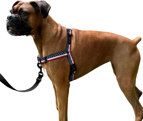 Miniatura 9 de ShawnCo Dream Walk Arnés para Perros Sin Tirones - Ajustable, Cómodo, Fácil de Usar, Cabestro para Mascotas para Ayudar a Detener los Tirones