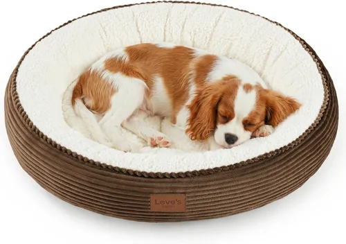 Miniatura 18 de Love's cabin Cama redonda acolchada para gatos y perros, cama para mascotas de 20 pulgadas para gatos o perros pequeños, parte inferior Violeta