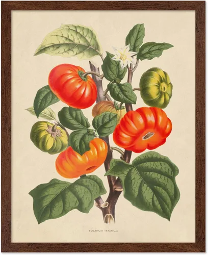 Miniatura 31 de Poster Master Póster Vintage de Plantas Cultivadas - Impresión Botánica Retro - Arte de Flores - Arte de Plantas - Regalo para Hombres y Mujeres