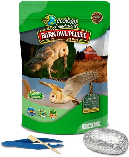 Miniatura 7 de NW Barn - Kit de disección de excrementos de búho (incluye instrumental e ilustraciones educativas)