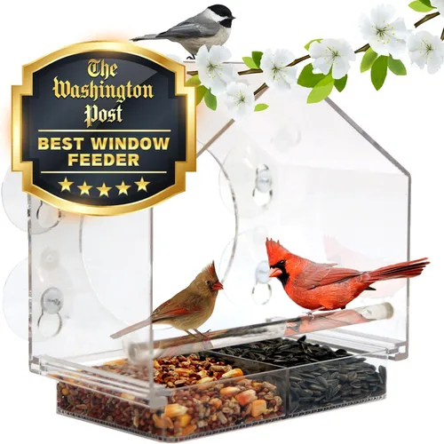 Nature Anywhere Comedero para pájaros de ventana – Comedero acrílico transparente para pájaros para exteriores – Agarre de succión mejorado,