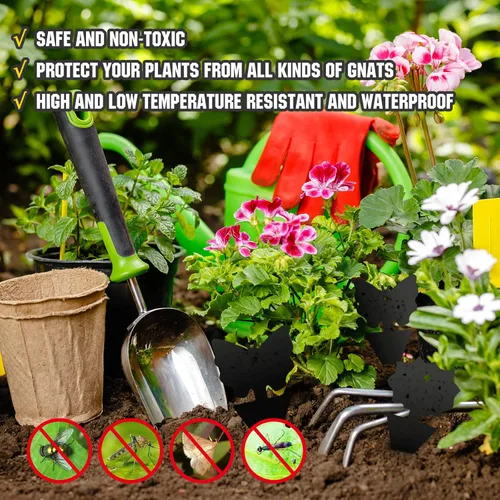 Miniatura 4 de USKICH Trampa adhesiva para moscas de la fruta y mosquitos, trampas adhesivas para insectos para interiores y exteriores, para moscas blancas