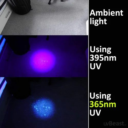 Miniatura 5 de uvBeast Nueva linterna UV de luz negra V3 de 365 nm – Alta definición ultravioleta – Alta potencia y largo alcance de grado profesional de haz mejor