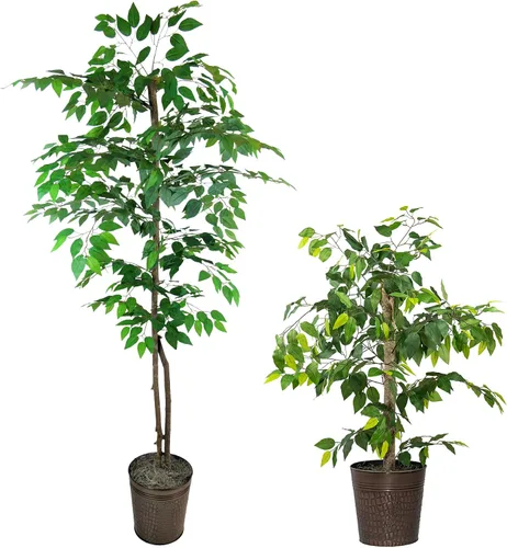 LCG Florals Árboles de ficus artificiales en macetas de metal de cobre, juego de 2 – tronco de madera real, premontados, planta sintética de