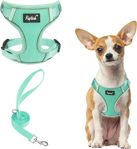 Miniatura 42 de PUPTECK Juego de arnés y correa para perro pequeño, arnés ajustable sin tirones para cachorro, chaleco de malla suave reflectante para mascotas