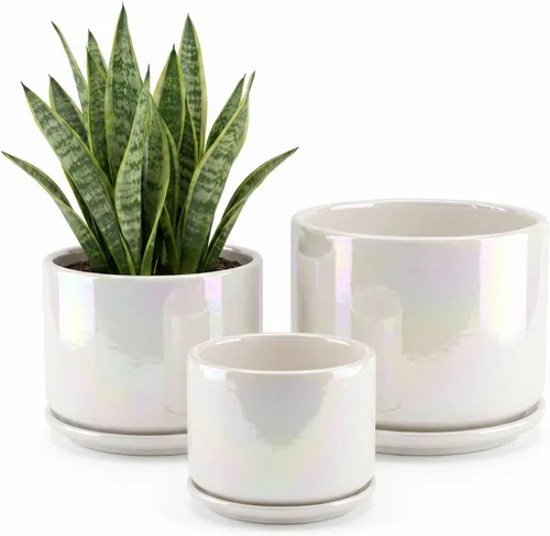 Miniatura 8 de Macetas de cerámica EFISPSS, macetas de interior de 4+5+6 pulgadas de cerámica para plantas con orificio de drenaje, para suculentas y cactus