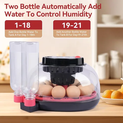 Miniatura 4 de Incubadoras de 12 huevos para incubar huevos, incubadora de huevos de pollo con giro automático de huevos y control de temperatura y humedad, tapa