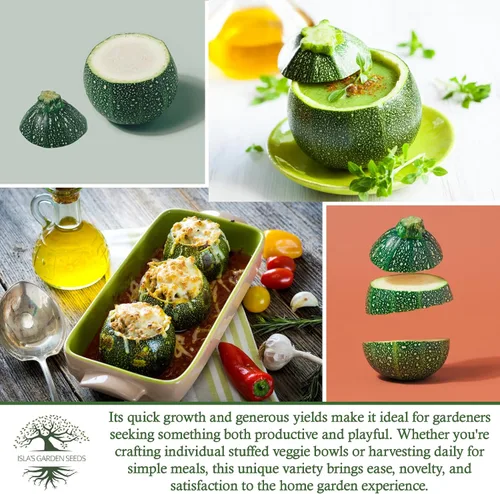 Miniatura 6 de Semillas redondas de calabacín (Cucurbita Pepo) – Más de 40 semillas de reliquia sin OMG para plantar, también conocidas como calabacín de ocho