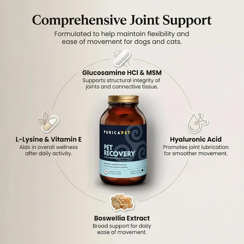 Miniatura 3 de Purica Suplemento extra fuerte para perros de recuperación - Apoya la salud de la cadera y las articulaciones para todas las razas - Contiene