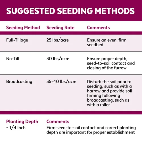 Miniatura 7 de Mountain View Seed s 100371 - Mezcla de semillas de pasto para caballos, 25 libras