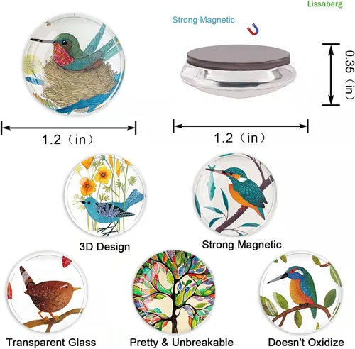 Miniatura 2 de 12 imanes de pájaros para refrigerador, imán redondo magnético de vidrio para decoración de nevera para taquilla, oficina escolar, pizarra blanca