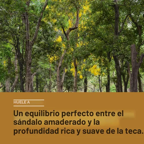 Miniatura 3 de Every Man Jack Aceite de sándalo para barba – Hidrata y suaviza tu barba – Alivia la picazón y las escamas – Fabricado con ingredientes derivados