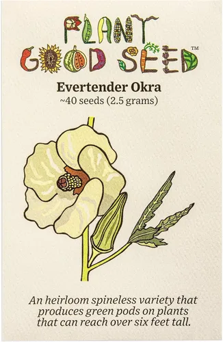 Miniatura 8 de Plant Good Seed Semillas orgánicas de Okra Cajun Jewel – Paquete de 40, semillas tradicionales para plantar verduras – Suministros de jardinería