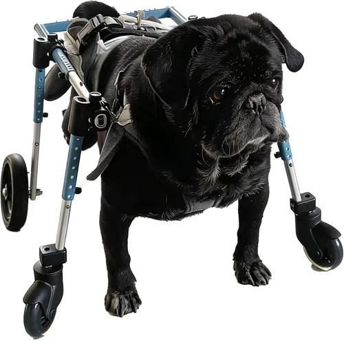 Dog Wheelchair for Back Legs Small,Adjustable Pet Wheelchair with 4Wheels for Injured, Disabled, Paralysis, Hind Limb Weak Puppy Indoor&Outdoor