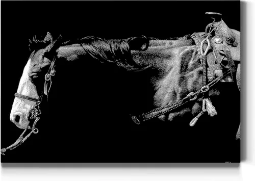 Renditions Gallery Lienzo decorativo para pared, diseño de animales para el hogar, pinturas e impresiones vintage de caballo de cara blanca,