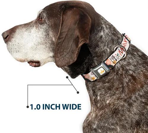 Miniatura 6 de Collar de perro con hebilla de cinturón de seguridad Moana con Pua y HEI HEI Sail Pose con Script Beige Naranja 9.5 a 13 pulgadas 1.0 pulgadas