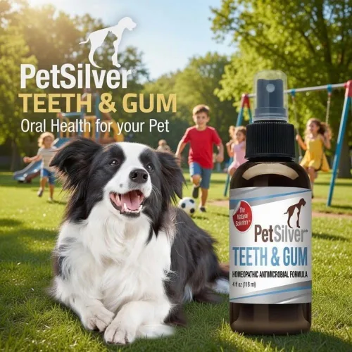 Miniatura 6 de PetSilver Spray de dientes y encías, plata quelatada, ambientador natural para el aliento de perro, limpieza dental para gatos y perros sin