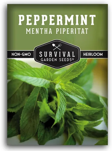Survival Garden Seeds - Semilla de menta para plantar - Paquete de Mentha Piperita con instrucciones para plantar y cultivar deliciosa menta en tu