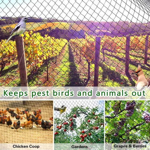 Miniatura 6 de OGORI Red para pájaros de 25 x 50 pies, malla de nailon resistente de 3/4 pulgadas para jardín, protege árboles frutales, plantas y verduras