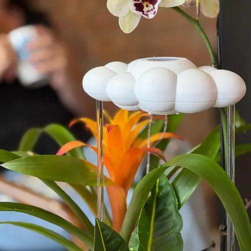 Miniatura 8 de La Nube Original de Lluvia Goteante para Plantas, Nube de Lluvia para Riego de Plantas, Regalos para Amantes de las Plantas, Regalos para Mujeres