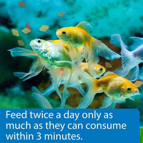 Miniatura 3 de API GOLDFISH FLAKES - Contenedor de comida para pescado, 0.36 onzas