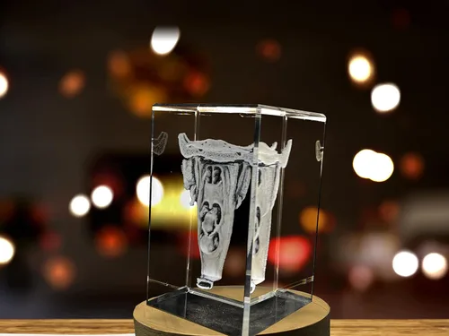 Miniatura 34 de Regalo para médicos 3D grabado en cristal recuerdo/regalo/decoración/(pequeño (3 x 2 x 2 pulgadas), arterias)