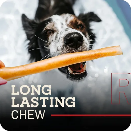 Miniatura 2 de Redbarn Pet Products Palitos de colágeno de carne de res totalmente naturales grandes de 12 pulgadas para perros, alternativa de larga duración