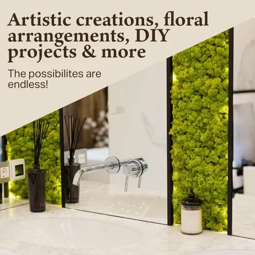 Miniatura 4 de Quality Growers - Musgo de reno preservado - Musgo para manualidades, decoración del hogar, arte, diseño y proyectos de bricolaje - No tóxico