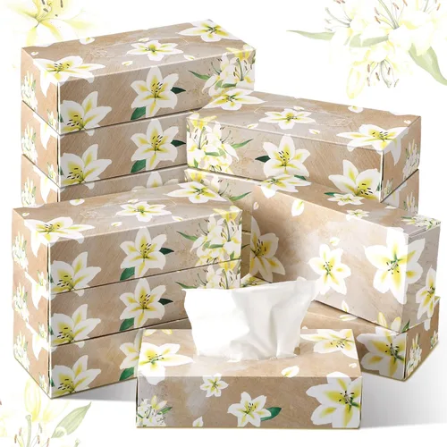 Yinder Paquete de 12 cajas de pañuelos faciales de graduación, 1560 hojas de tejido facial suave a granel para profesores, aula, primavera, 2 capas,