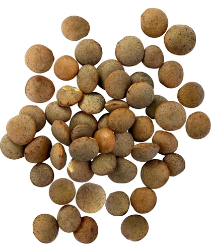 Miniatura 2 de Marca Palouse Lentejas marrones certificadas libres de residuos de glifosato 5 LIBRAS Sin desecante Germinables Proyecto sin OMG verificado