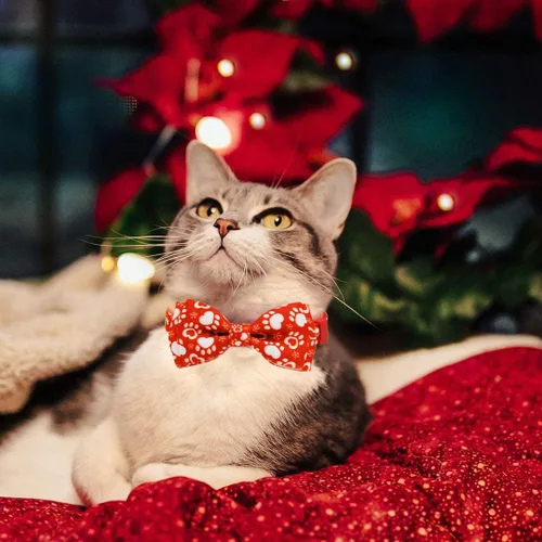 Miniatura 5 de Paquete de 2 collares de gato de Papá Noel de Navidad con patas de invierno y copo de nieve con pajarita y campana, lindo collar de gatito navideño