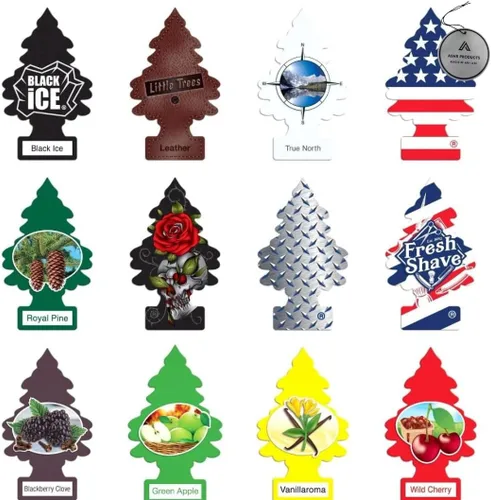 Little Trees - Paquete de 12 ambientadores masculinos – 12 aromas masculinos diferentes de ambientadores – Ambientador para coche, camiones, RV,