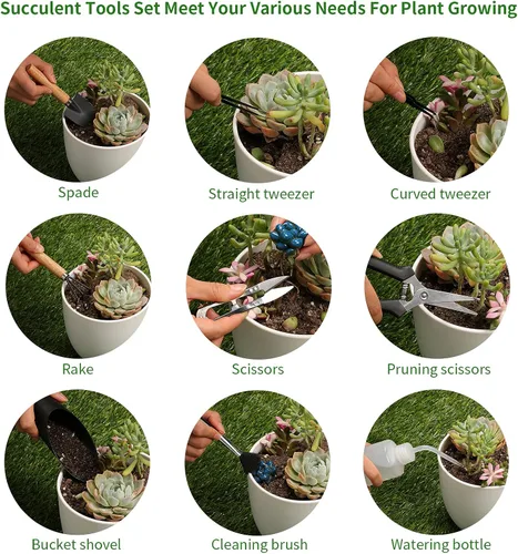 Miniatura 3 de 11 piezas de herramientas para suculentas, mini herramientas de jardín, herramienta de riego de suculentas como accesorios para plantas, kit