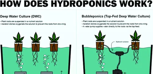 Miniatura 5 de The Atwater HydroPod - Sistema de jardín hidropónico de goteo de doble DWC para cultivo de agua profunda/recirculación - Cubo de burbujas - Sistema