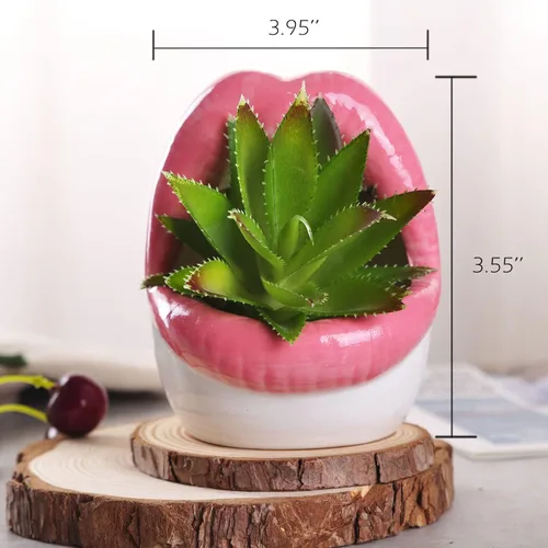 Miniatura 2 de WHJY Maceta de labios atractivos, maceta suculenta de cerámica - rosa