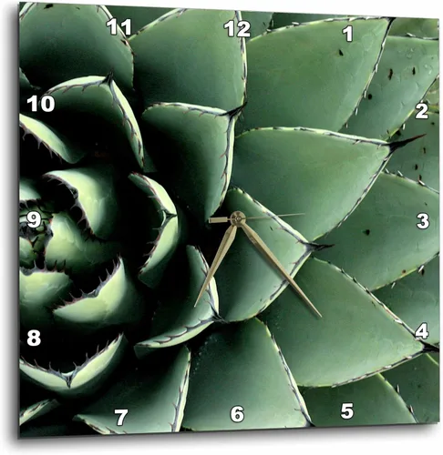 Miniatura 9 de 3dRose DPP_92676_2 Agave Cactus Suculent, Santa Fe, Nuevo México US32 JMR0454 Julien McRoberts Reloj de pared, 13 x 13 pulgadas