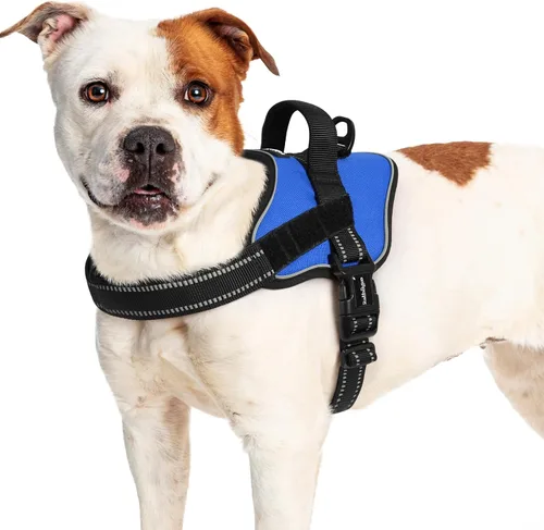 Miniatura 12 de rabbitgoo Arnés para perro de tamaño pequeño, chaleco para mascotas sin tirones, sin estrangulamiento, fácil de llevar con una hebilla, reflectante