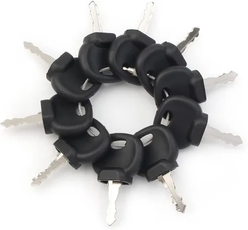 Miniatura 4 de LIRU 10 llaves de bloqueo para interruptor de encendido, 14603 14707 14607 llave de encendido de repuesto para Bomag 05755125, 5755124